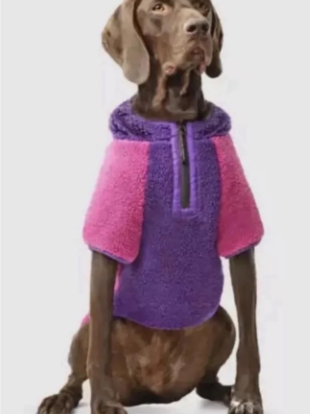 Canada Pooch Cool Factor Hoodie Sz 18 Pink Purple Dog Sherpa Jacket 25-33LBS NWT